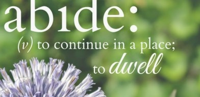 Image result for abide in me